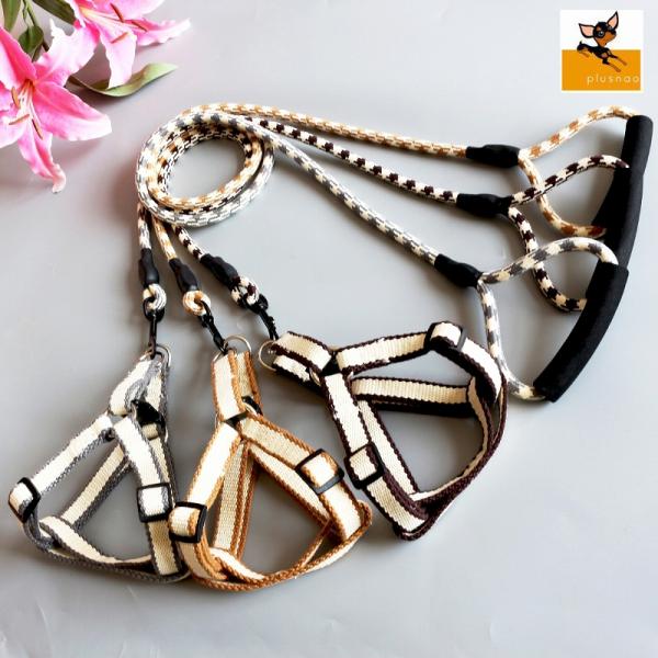 リード ハーネス 2点セット 胴輪 犬用 イヌ 小型犬 ペット用品 ペットグッズ 持ちやすい シンプ...