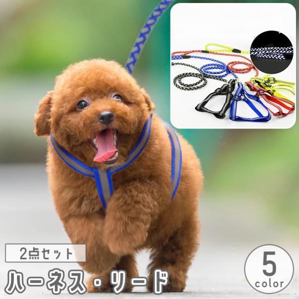 ハーネス リード 2点セット 犬 猫 ペット用品 胴輪 反射 夜間 お散歩 お出かけ 外出 シンプル...