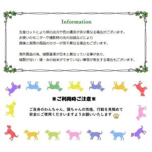 ペット用品 鳥用品 おもちゃ 玩具 インコ 鳥...の詳細画像3