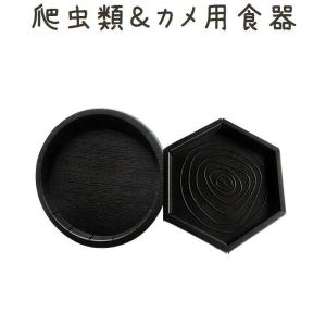 カメ用 食器 フードトレイ フードトレー フードディッシュ