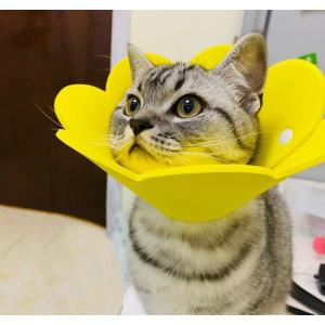 エリザベスカラー ペット用品 犬 猫 イヌ ネ...の詳細画像1