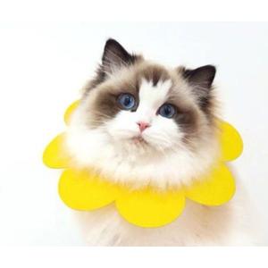 エリザベスカラー ペット用品 犬 猫 イヌ ネ...の詳細画像5