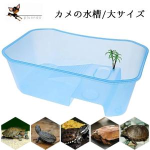 亀の甲羅の商品一覧 通販 Yahoo ショッピング