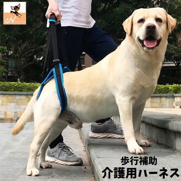 介護用ハーネス 後ろ足用 後足 犬用 ドッグ ペット用品 ベルト 歩行補助 リハビリ サポート 老犬...