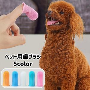 ペット用歯ブラシ 指サック型 半透明 犬 イヌ ...の商品画像