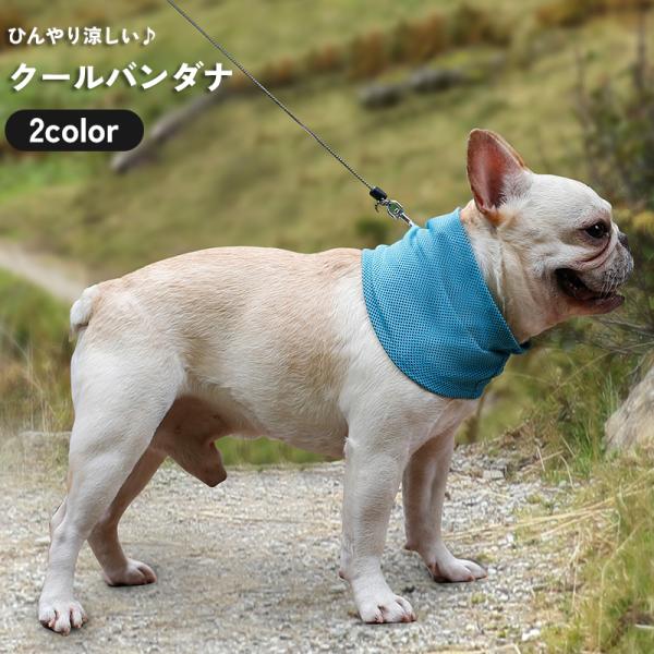 犬用 クールバンダナ マフラー タオル スカーフ ネック ひんやり 冷感 冷たい 涼しい 熱冷まし ...