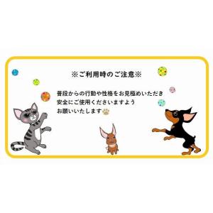 ペット用帽子 猫 小型犬 かぶり物 リンゴ コ...の詳細画像5