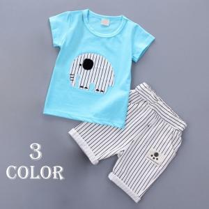 セットアップ 半袖Tシャツ ストライプパンツ トップス ボトムス 子供服 男の子 男児 キッズ KIDS ゾウさん ストライプ柄 プリントTシャツ 可