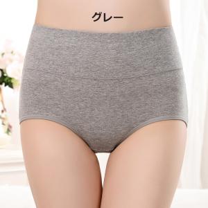 スタンダードショーツ フルバック ノーマル レ...の詳細画像1