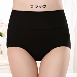スタンダードショーツ フルバック ノーマル レ...の詳細画像2