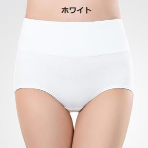 スタンダードショーツ フルバック ノーマル レ...の詳細画像3