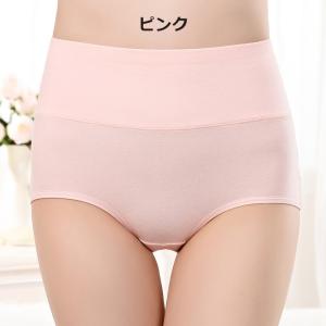 スタンダードショーツ フルバック ノーマル レ...の詳細画像5