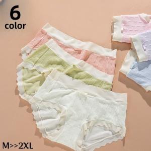 スタンダードショーツ レディース 大きいサイズ ...の商品画像
