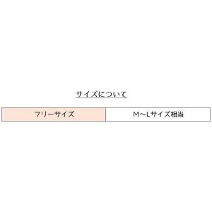 フットカバー カバーソックス メンズ 男性 浅...の詳細画像2