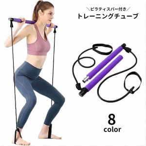ジムスティック オリジナル スティック＆チューブ GYMSTICK