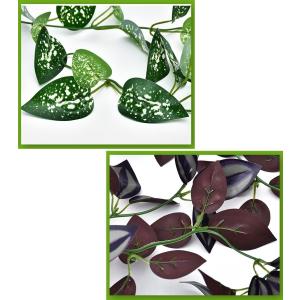 フェイクグリーン 人工観葉植物 観葉植物 壁掛...の詳細画像3