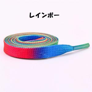 靴紐 くつひも 2本セット 左右セット 1足分...の詳細画像4
