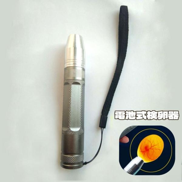 検卵器 検卵機 ライト 受精卵 懐中電灯 電池式 確認 実験 理科 孵化 観察 発育 エッグキャンド...