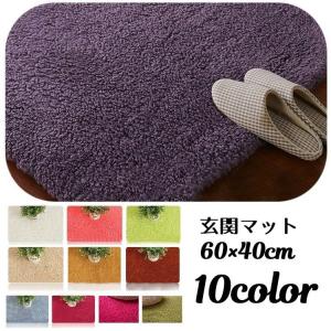 玄関マット 60 40cm フロアマット トイレ...の商品画像