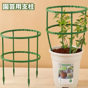園芸用支柱 リング支柱 組み立て式 2段 植木鉢...の商品画像