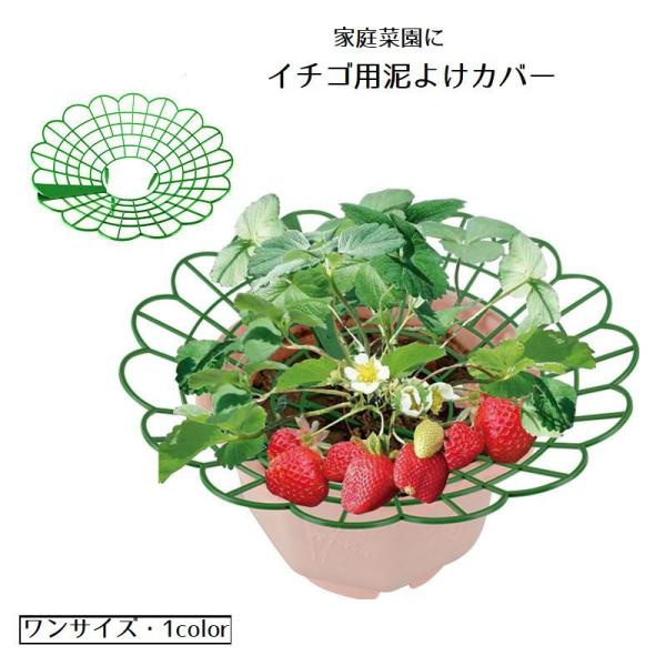 泥よけカバー 泥よけネット 泥よけトレー 園芸用 家庭菜園 ガーデニング イチゴ 苺 汚れ防止 泥は...