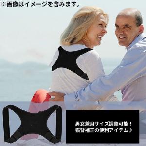 姿勢ベルト 姿勢補正 背中サポート 男女兼用 ...の詳細画像3