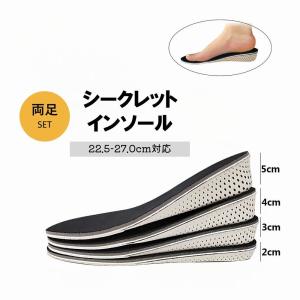 シークレットインソール 中敷き 靴用品 男女兼用 フルタイプ 両足分 2cm 3cm 4cm 5cm カット可 スニーカー 運動靴 ビジネスシューズ