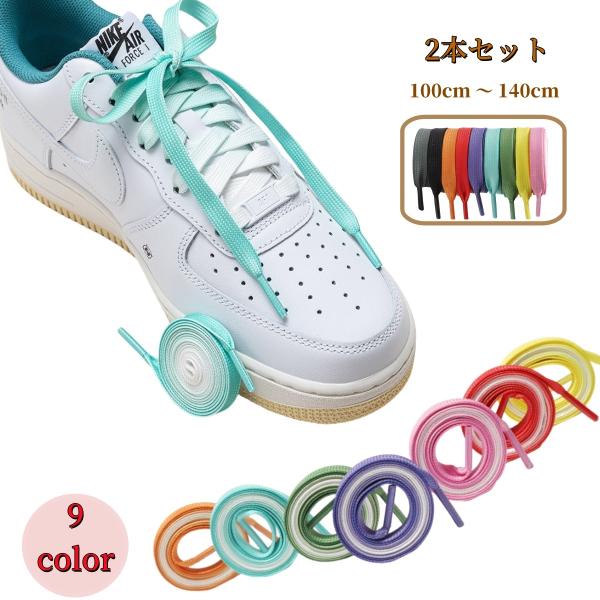 靴紐 2本セット 左右セット 100cm 120cm 140cm レディース メンズ ジュニア キッ...
