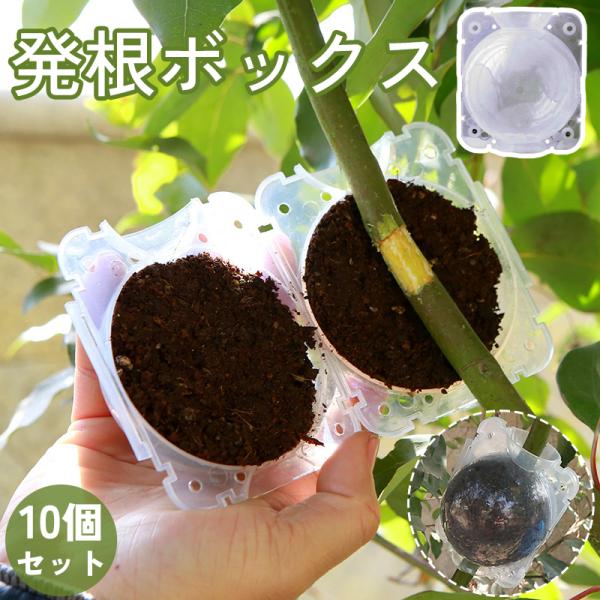 発根ボックス 10個セット 取り木ボール 植物 繁殖 株分け 育成 発根装置 家庭菜園 簡単取付け ...