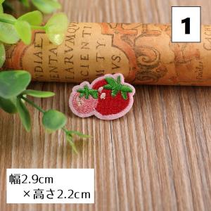 ワッペン アップリケ パッチ DIY ハンドメ...の詳細画像2