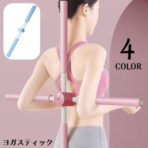 ストレッチポール（StretchPole） アシスティック（Assistick