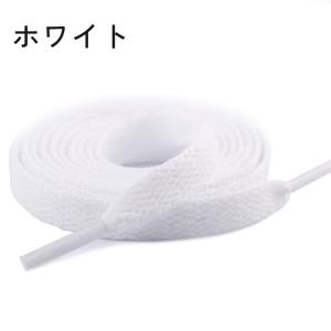 靴紐 靴ひも 2本セット 1足用 50〜180...の詳細画像4
