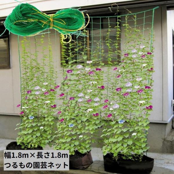 園芸ネット つる栽培ネット 幅1.8m 長さ1.8m 10cm角目 野菜誘引 つる性植物 キュウリ ...