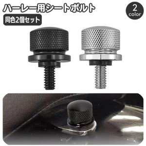 ハーレーダビッドソン ボルト メッキ ブラック スポーツスター ダイナ