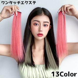 ワンタッチエクステ 部分ウィッグ レディース 女性 単品 エクステ つけ髪 つけ毛 ヘアアレンジ メッシュ ストレート カラーチェンジ ヘアピース エ