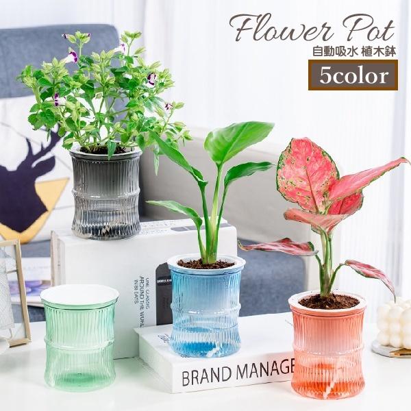 植木鉢 フラワーポット 水耕栽培 自動給水 貯水槽付き 水やり簡単 丸型 観葉植物 多肉植物 園芸 ...