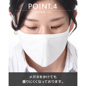 布マスク 洗える マスク 3D 立体型 繰り返...の詳細画像4