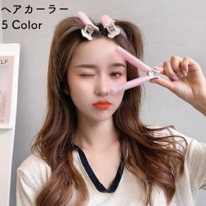 ヘアカーラー 2個セット クリップ付き ボリュームアップ レディース