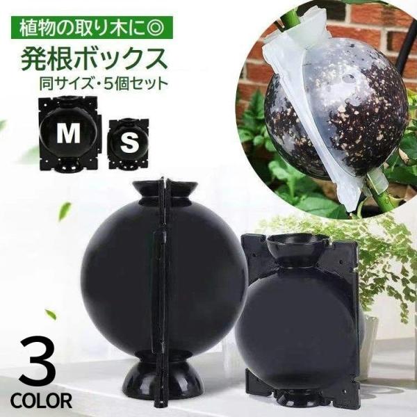 発根ボックス 5個セット 取り木ボール 植物 繁殖 株分け 発根装置 簡単取付け ガーデニング 園芸...