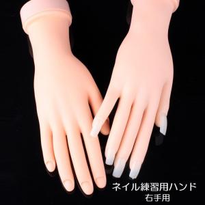 NAIL REPUBLIC ネイル練習用 ハンドマネキン 検定 トレーニングハンド