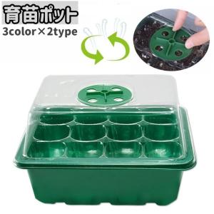 育苗ポット 6穴 12穴 蓋付き 透明カバー 通...の商品画像