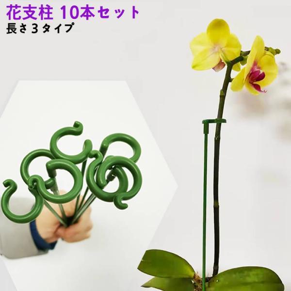 花支柱 植物支柱 10本セット 花支え 花ささえ 観葉支柱 フラワー支柱 フラワーサポーター フラワ...