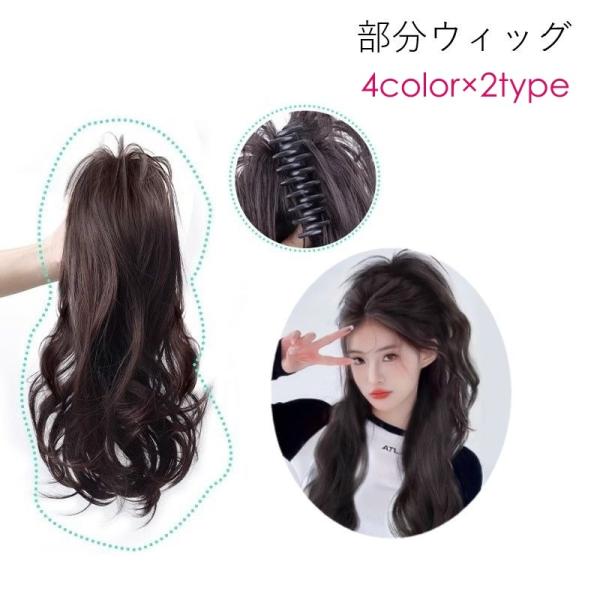 部分ウィッグ ポイントウィッグ バンスクリップ 付け毛 レディース 女性 ヘアアクセサリー ファッシ...