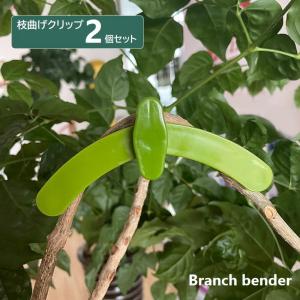 枝曲げクリップ 2個セット ブランチベンダー 枝 茎 成形クランプ 固定ツール 盆栽 観葉植物 園芸 ガーデニング用品 ブランチシェイパー