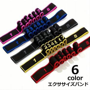 トレーニングバンド フィットネスチューブ レジスタンスバンド 懸垂