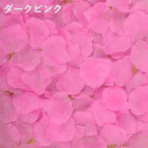 花びら 花びらアート 結婚式 お祝い 飾り 雑...の詳細画像5