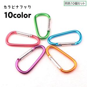 カラビナフック 同色10個セット カラビナ Dカン Dリング キーフック キーホルダー 多用途 D型カラビナ アウトドア バッグアクセサリー ベルトア｜プラスナオYahoo!店