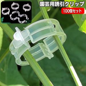 ツル 茎 固定 クリップ 100個 園芸 植物 弦 支柱 添え木 結束 バンド