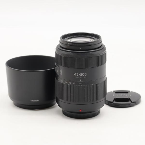 パナソニック Panasonic ルミックス G VARIO 45-200mm/F4.0-5.6 I...
