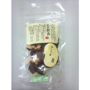 匠の逸品　チーうま　40g （全犬種用）